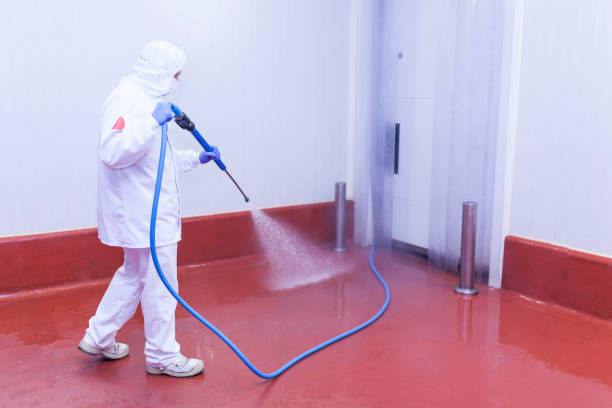 Reliable Shoreview, MN Pressure Washing Services Solutions